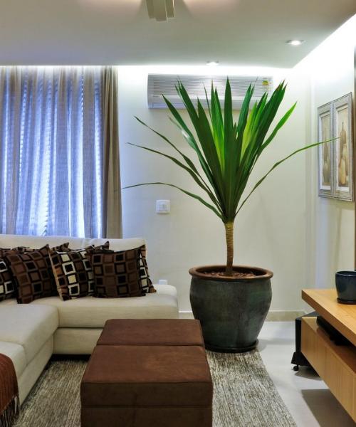 Santos, Casa Veraneio (10)